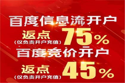 百度广告推广的投放策略与市场分析